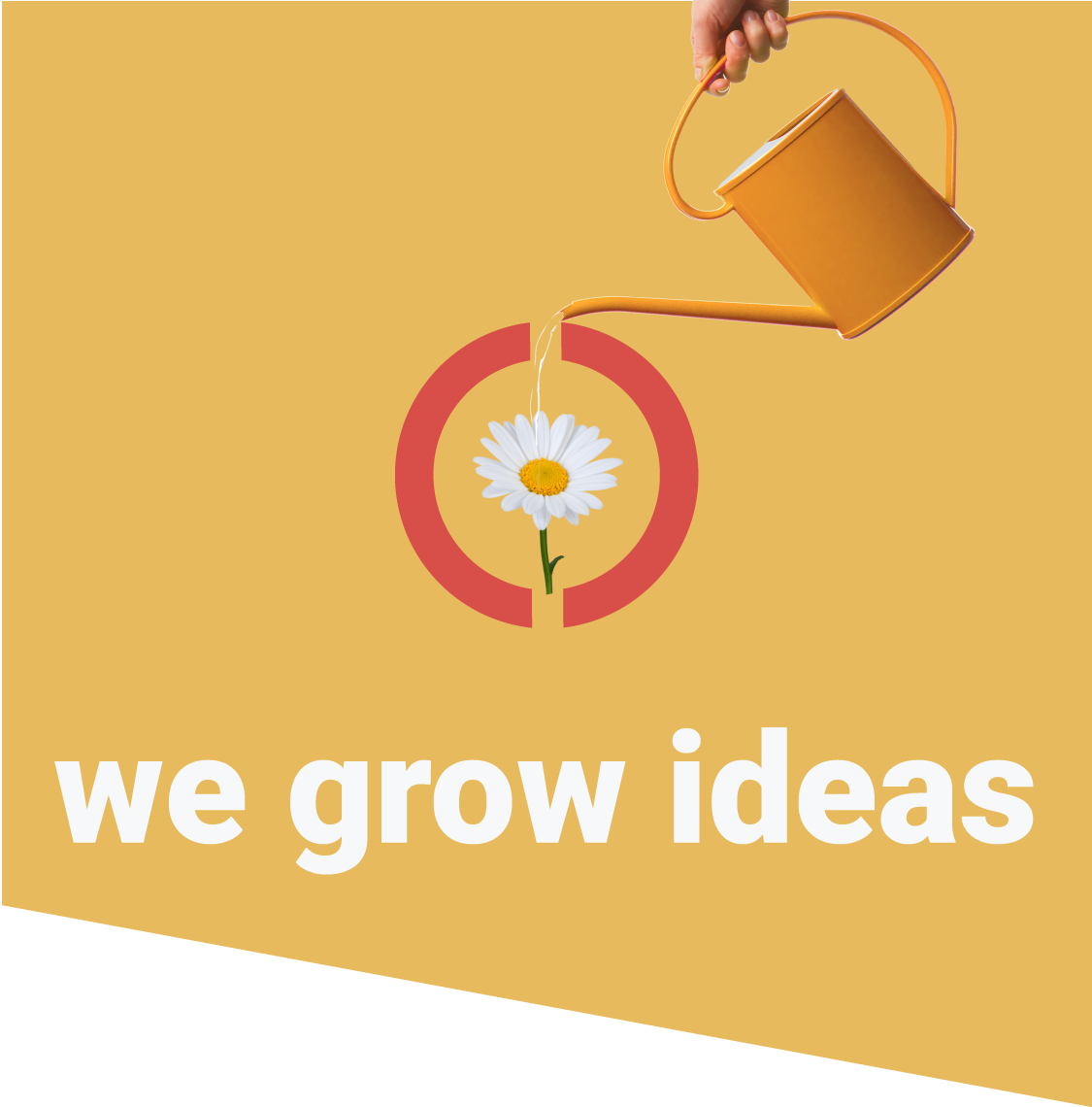 we grow ideas