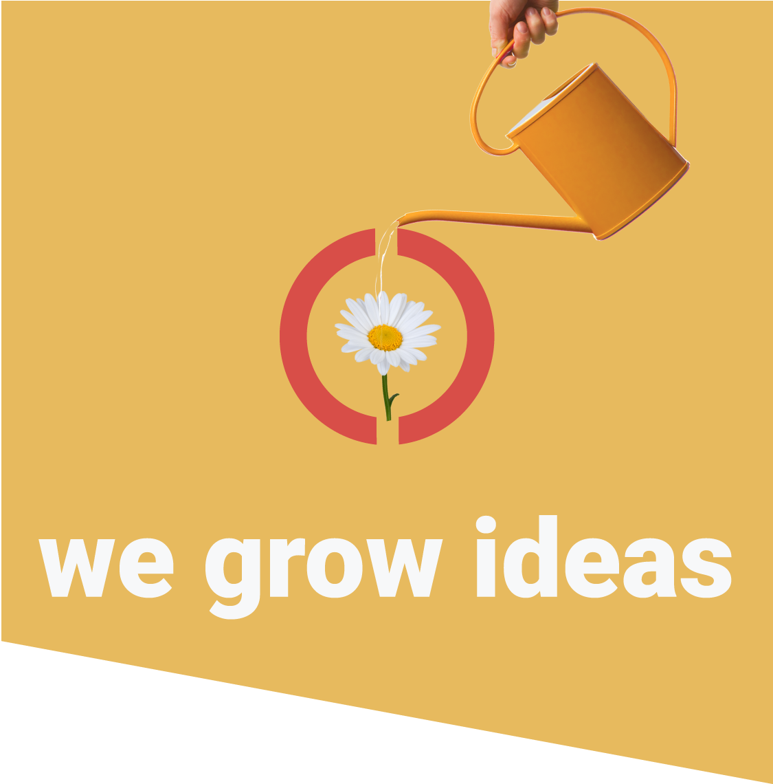 we grow ideas